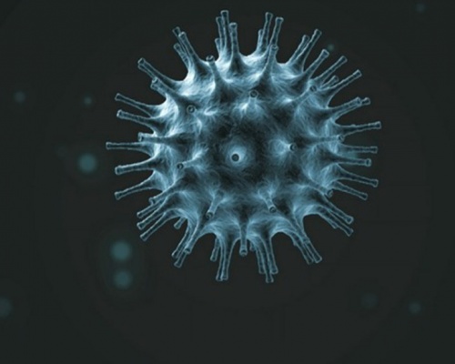 Coronavirus (Covid-19): FAQ